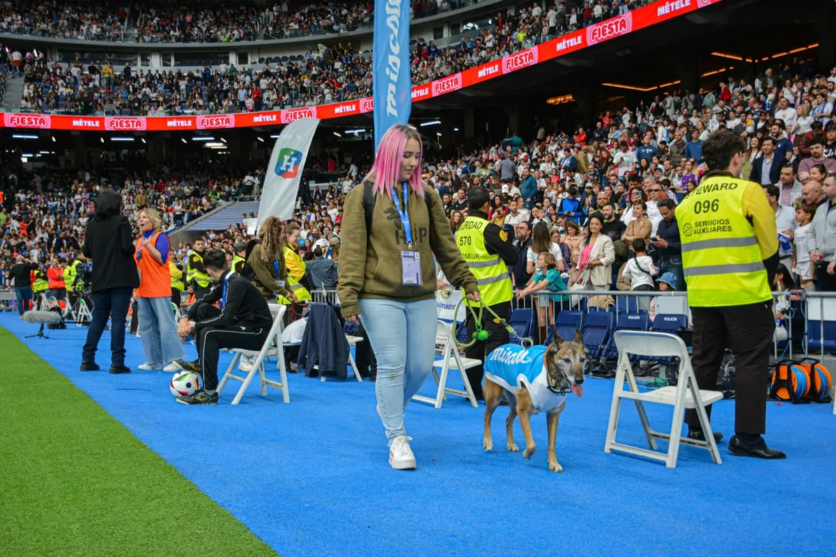 Acción solidaria de Miscota junto al Corazón Classic Match y protectoras de animales