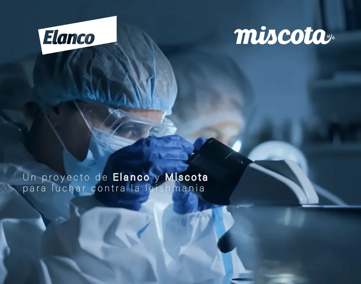 Protección antiparasitaria para animales de protectoras en el Corazón Classic Match